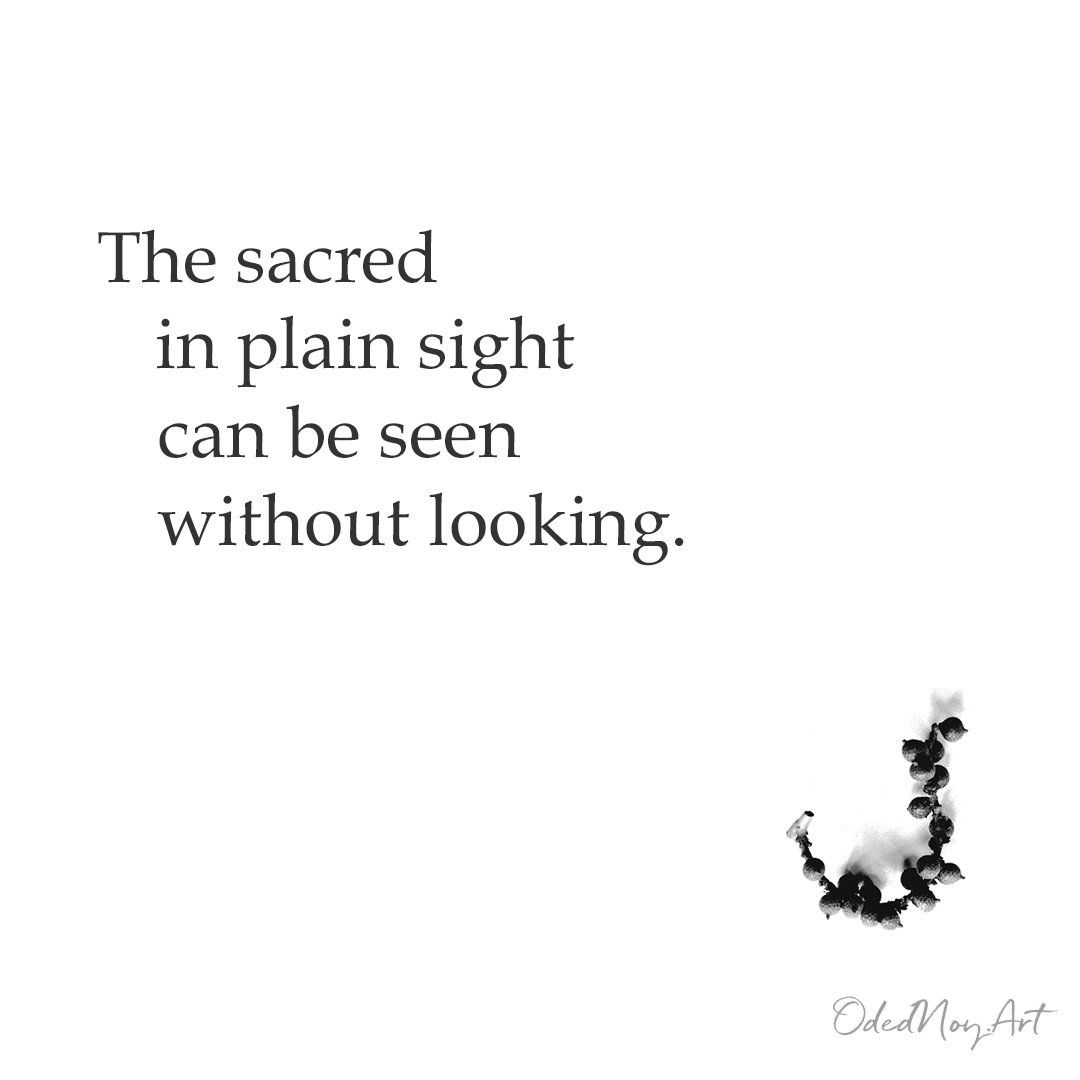 The sacred in plain sight can be seen without looking.