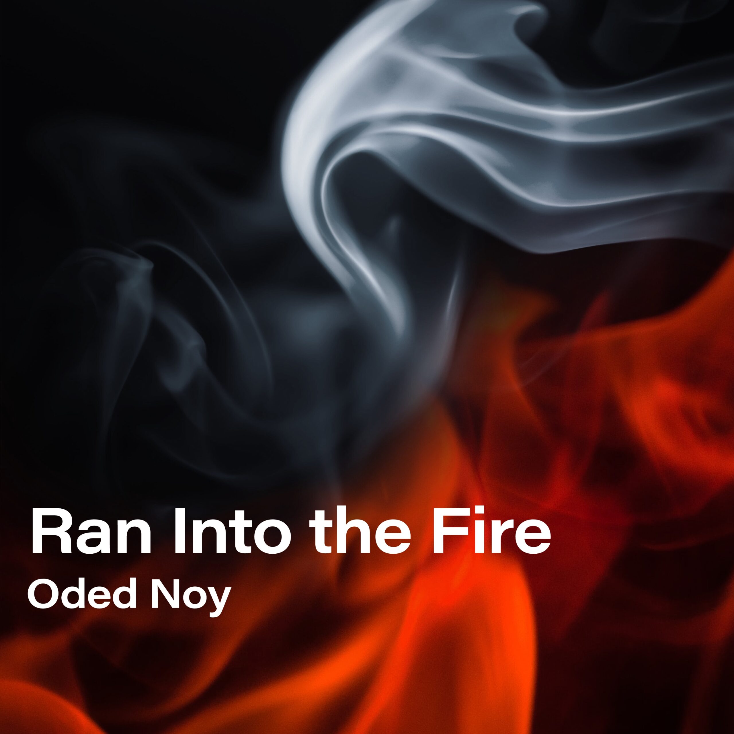 Ran Into the Fire (EP)