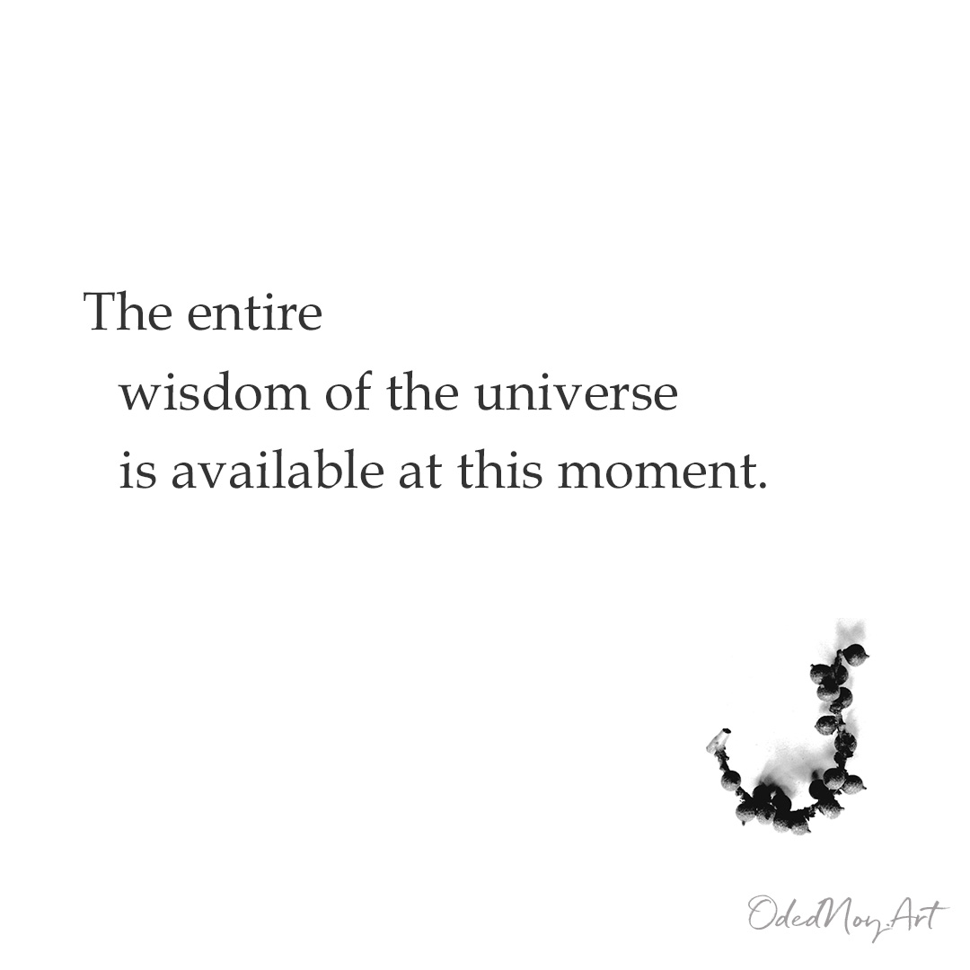 The entire wisdom of the universe is available at this moment.