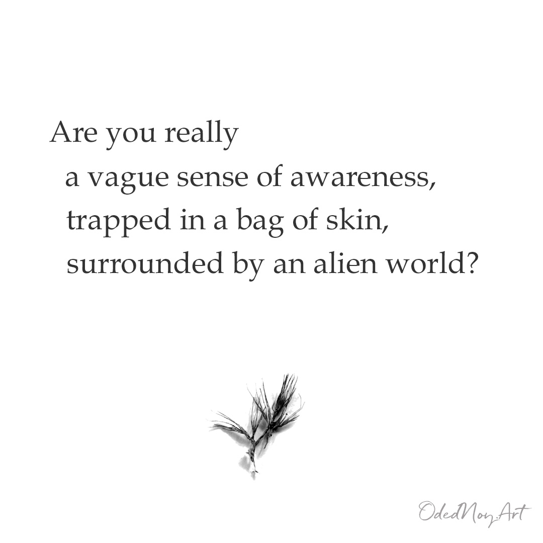 Are you really a vague sense of awareness, trapped in a bag of skin, surrounded by an alien world?