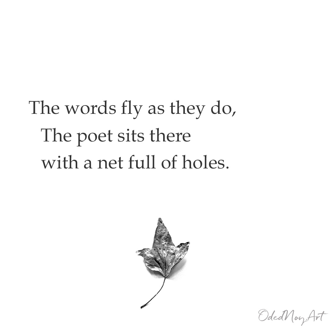 The words fly as they do, The poet sits there with a net full of holes.