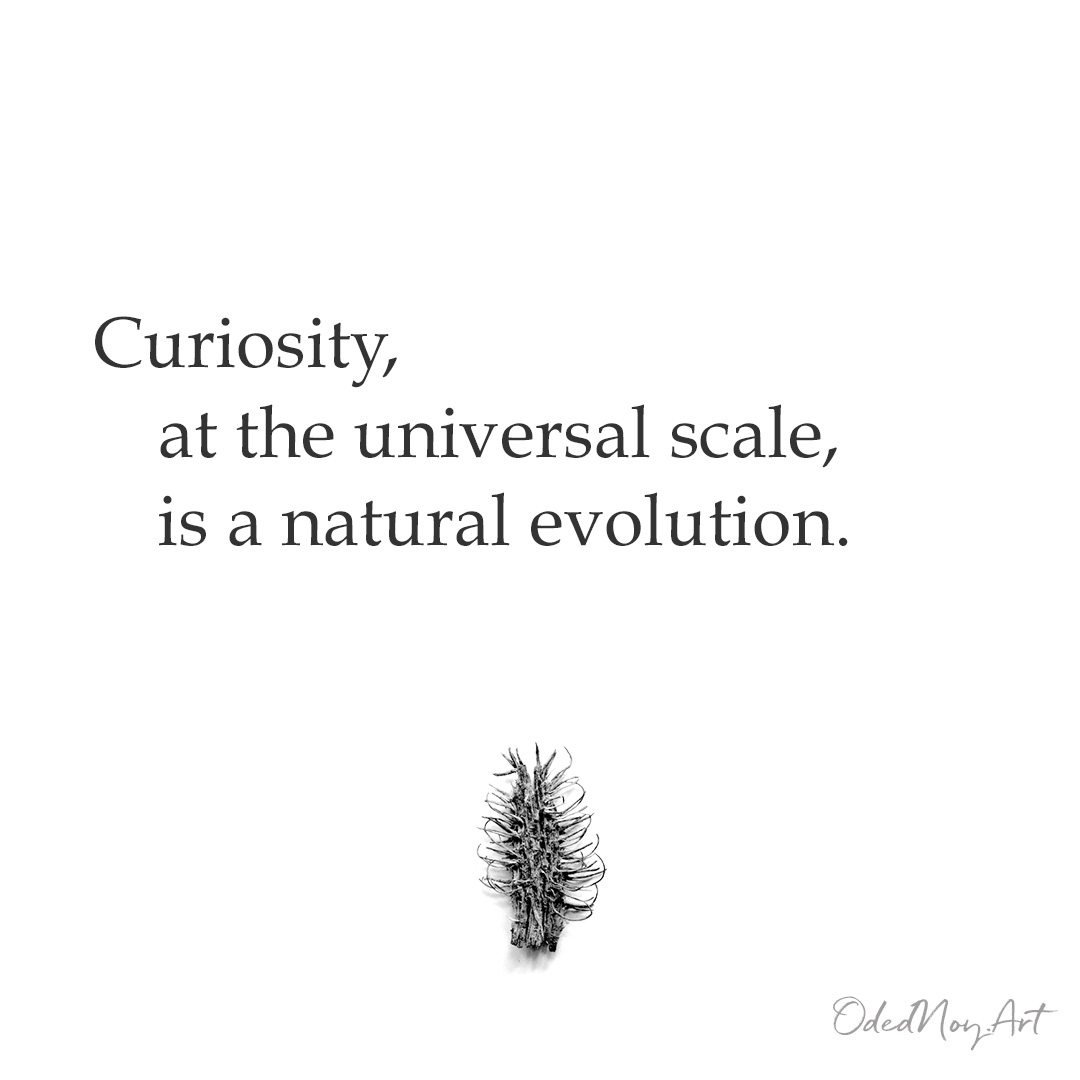 Curiosity,     at the universal scale,  is a natural evolution. 