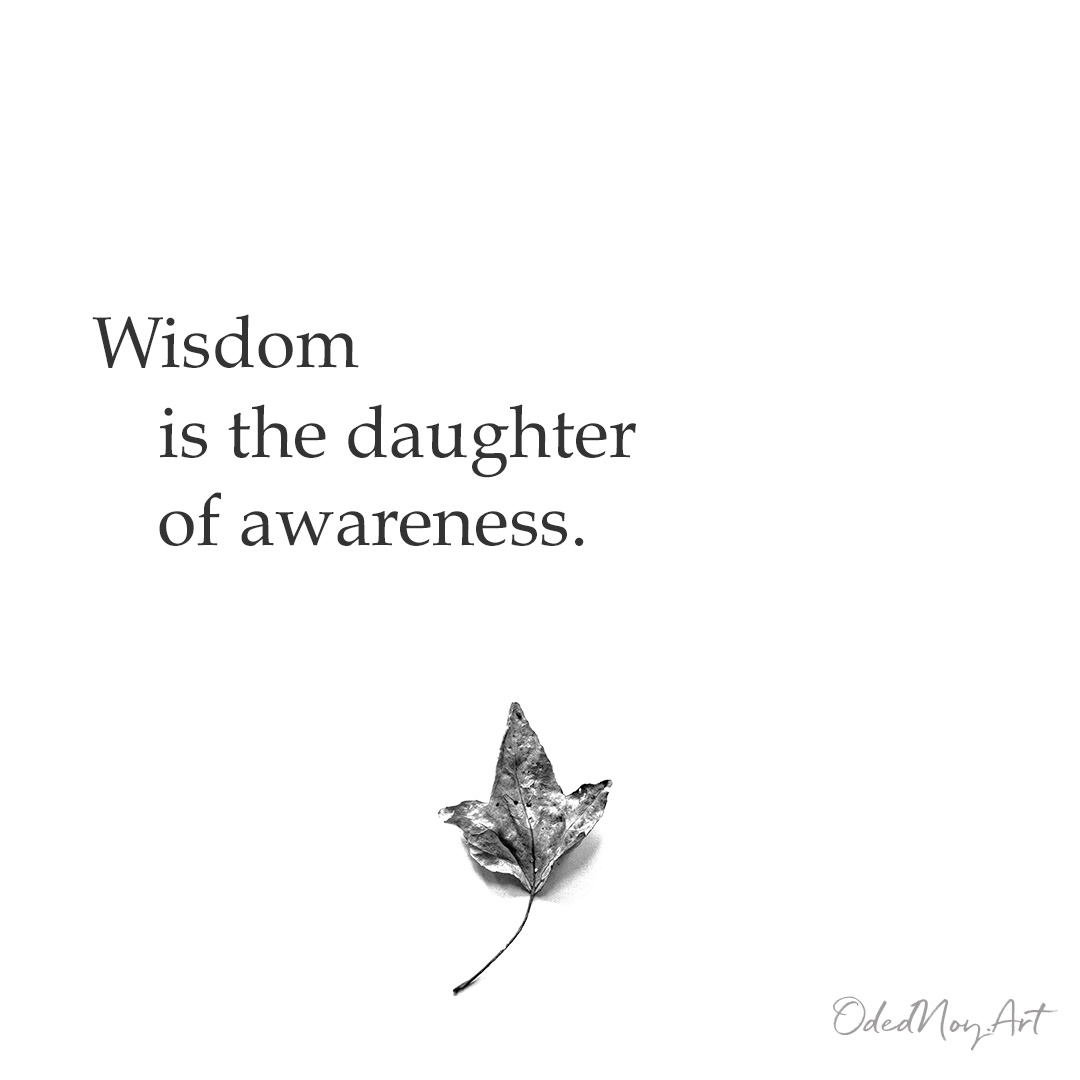 Wisdom is the daughter of awareness.