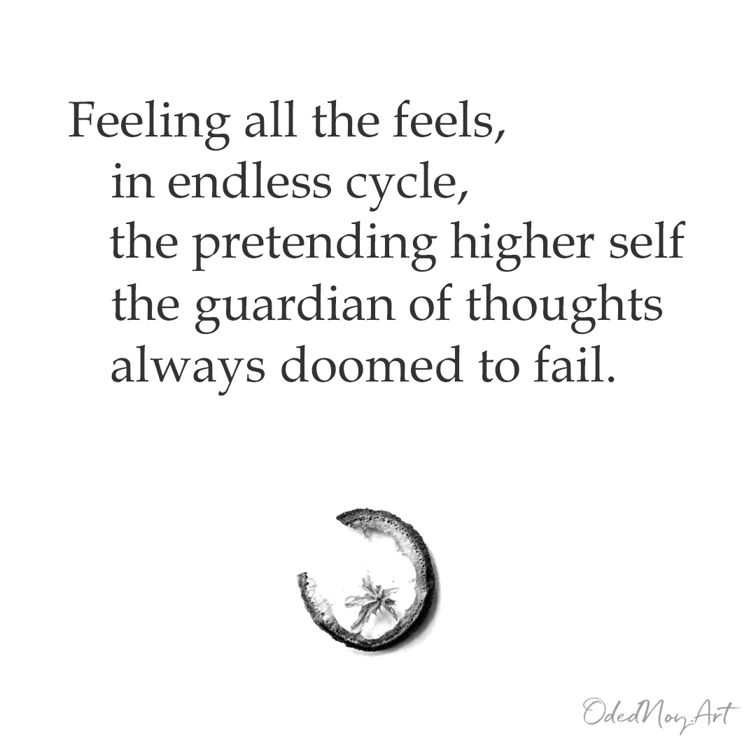 Feeling all the feels, in endless cycle, the pretending higher self the guardian of thoughts always doomed to fail.