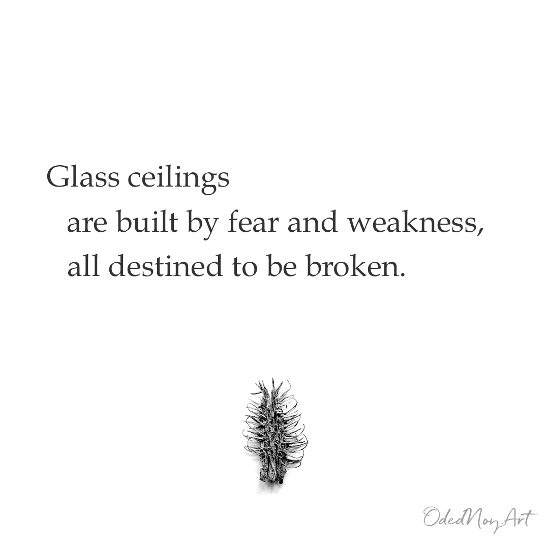 Glass ceilings are built by fear and weakness, all destined to be broken.