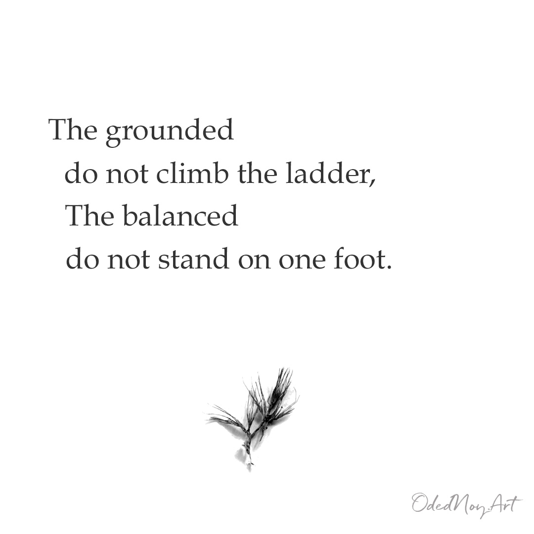 The grounded do not climb the ladder, The balanced do not stand on one foot. 