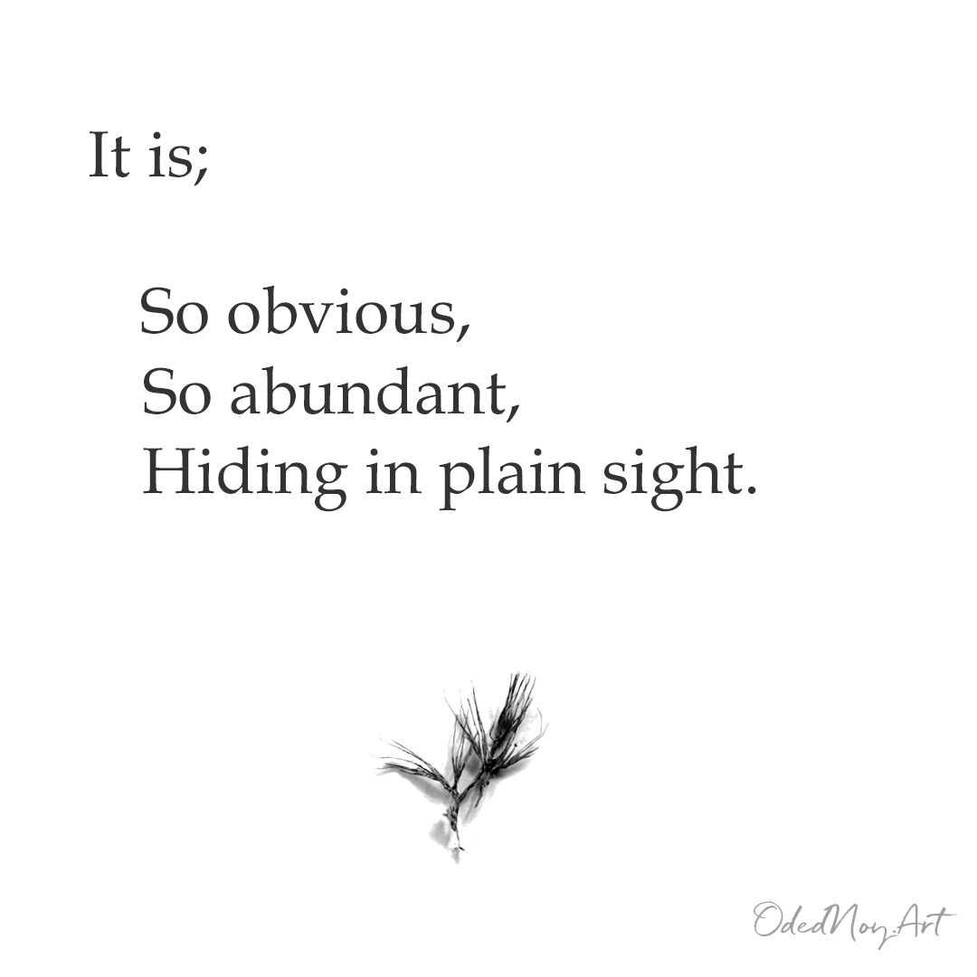 It is; So obvious, So abundant, Hiding in plain sight. 