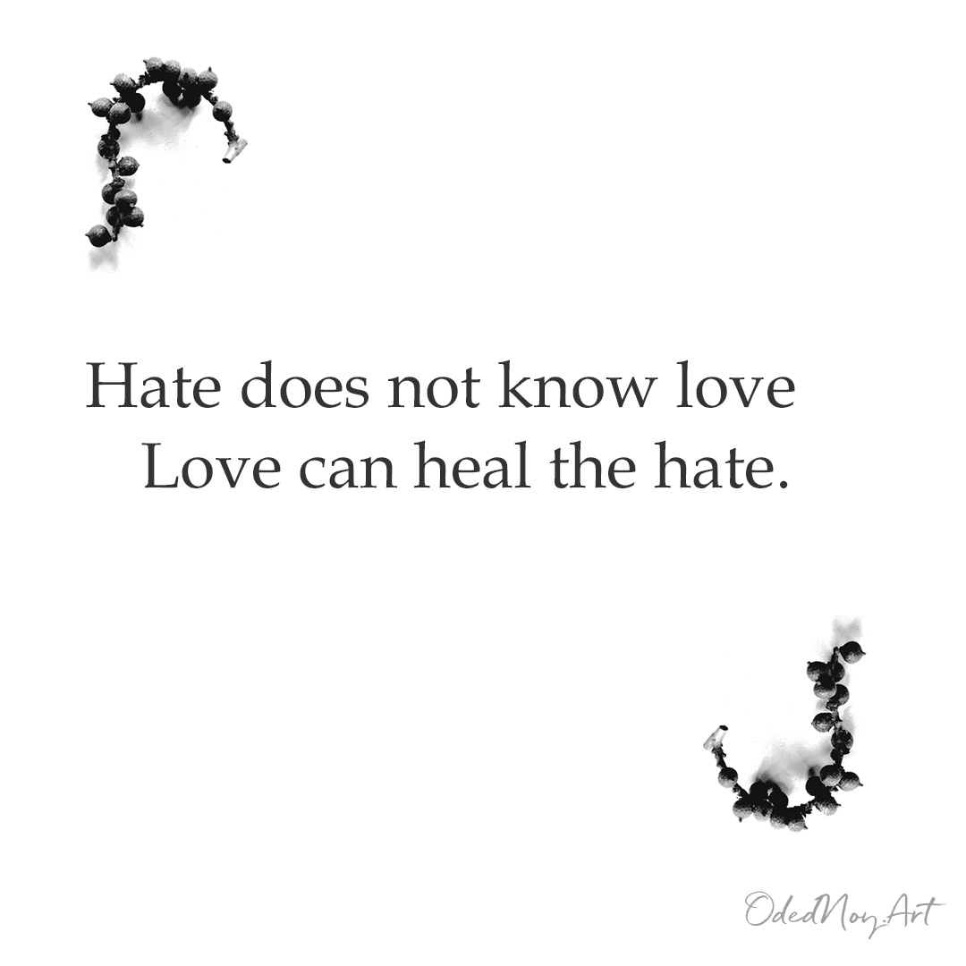 Hate does not know love Love can heal the hate.