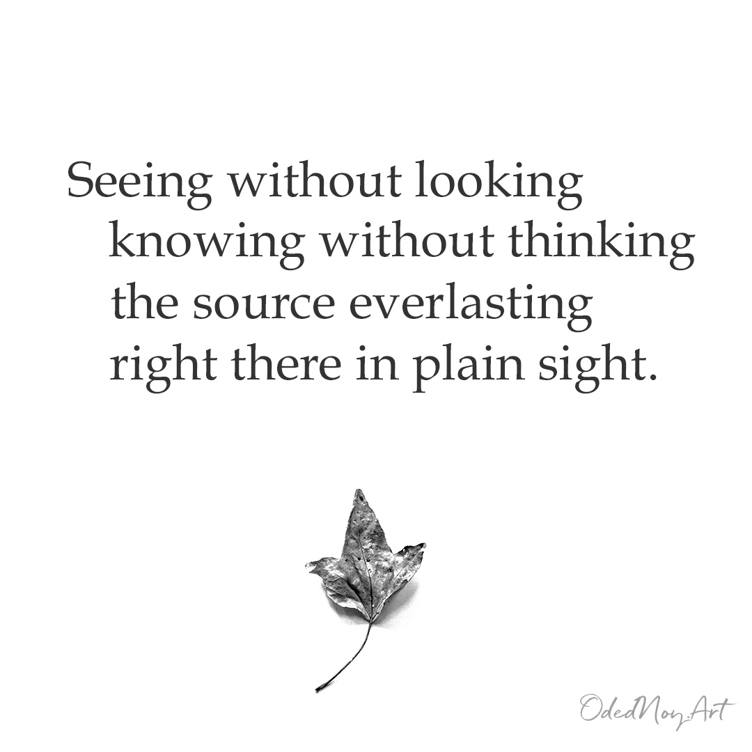 Seeing without looking knowing without thinking the source everlasting right there in plain sight.