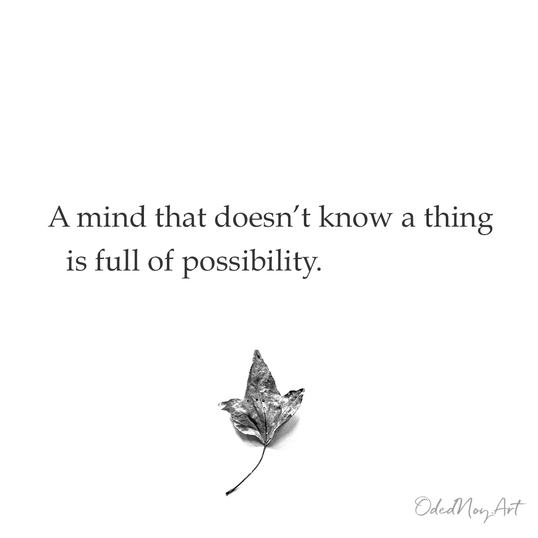 A mind that doesn't know a thing is full of possibility.