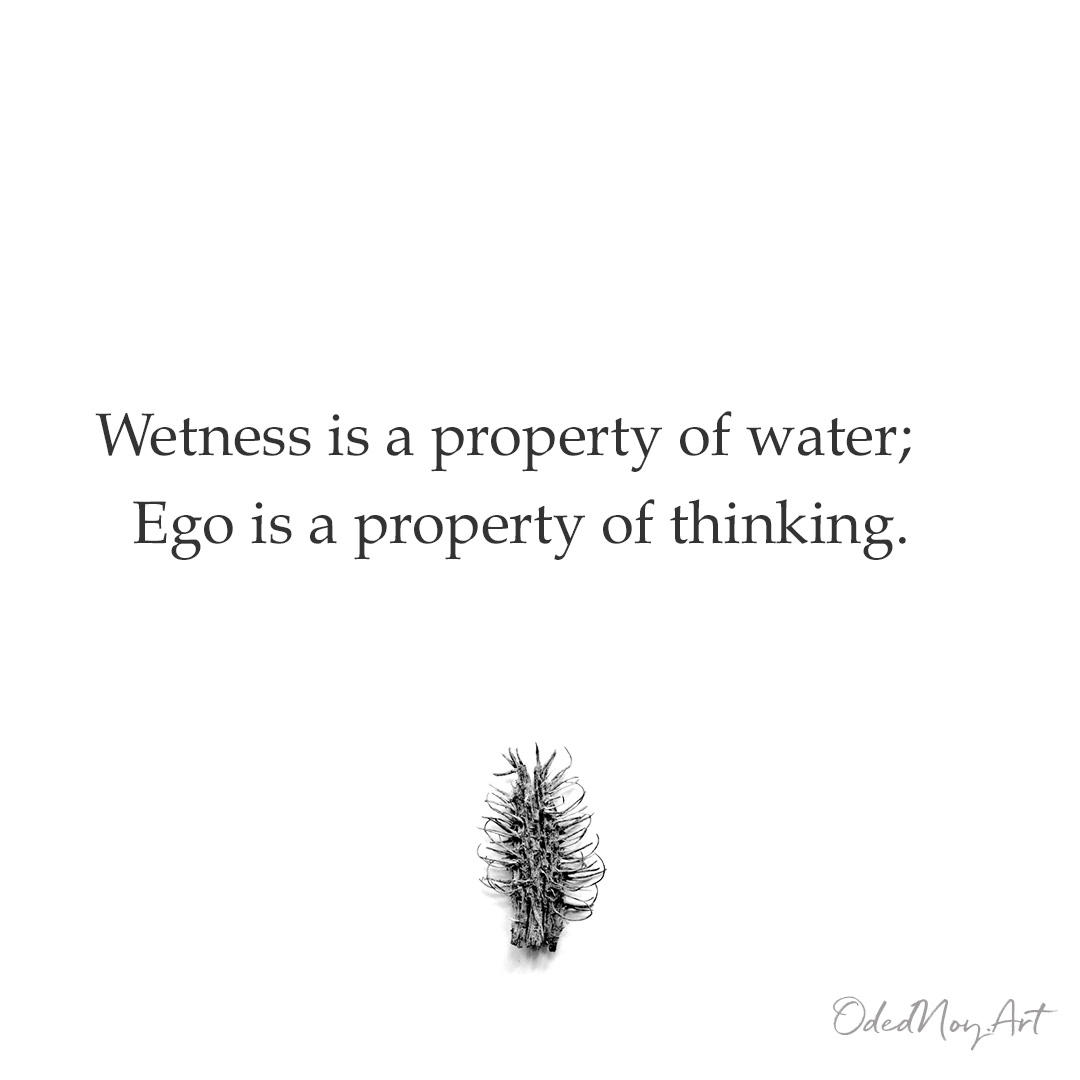 Wetness is a property of water; Ego is a property of thinking.