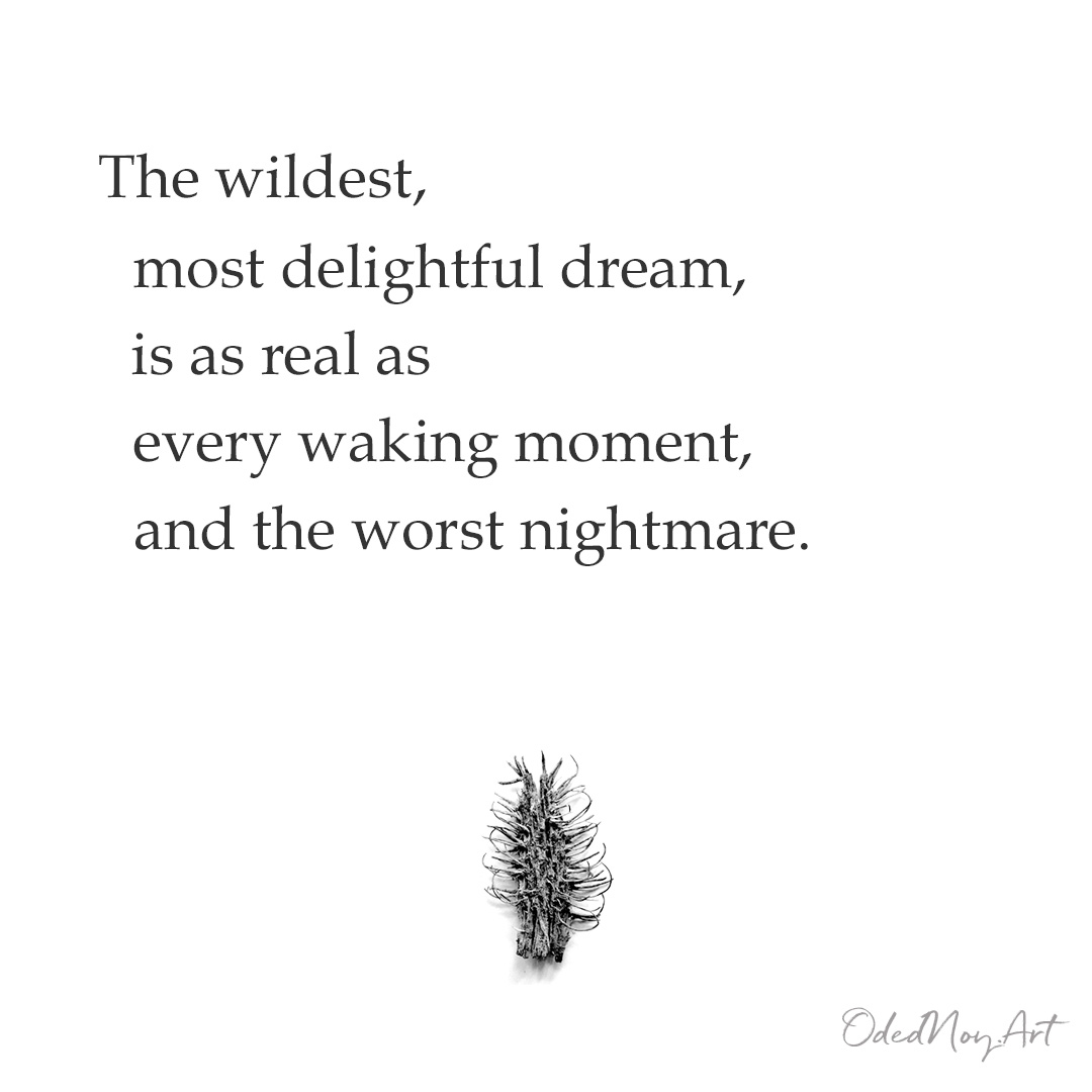 The wildest, most delightful dream, is as real as every waking moment, and the worst nightmare.