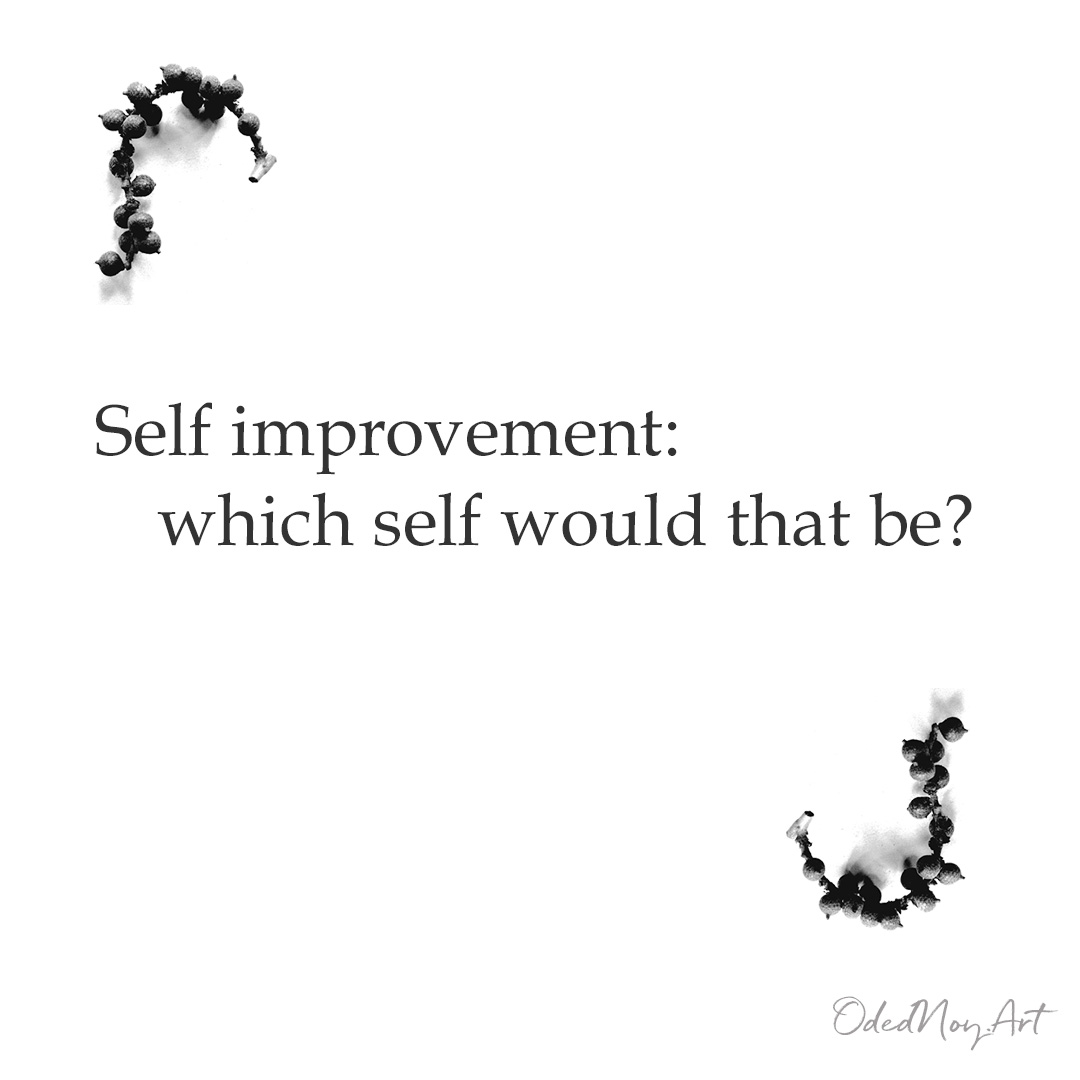 Self improvement: which self would that be?