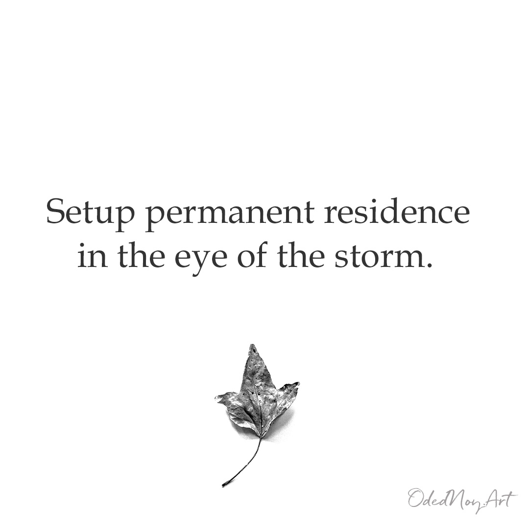 Setup permanent residence in the eye of the storm.