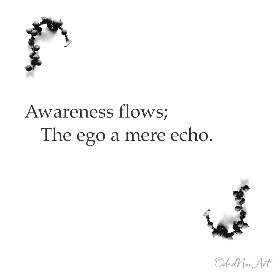 Awareness flows; The ego a mere echo.