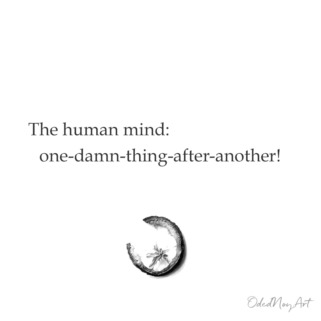 The human mind: one-damn-thing-after-another!