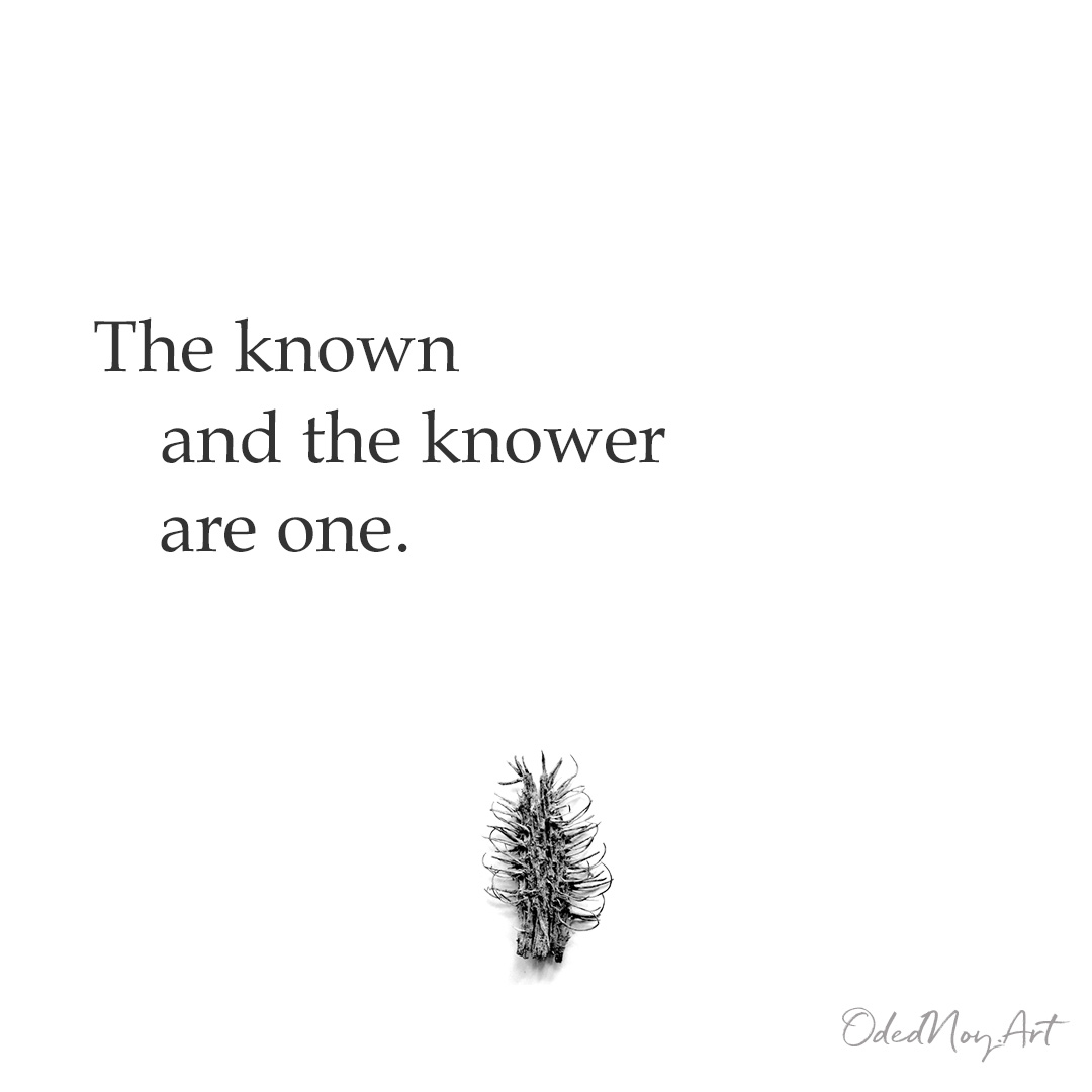 The known and the knower are one.