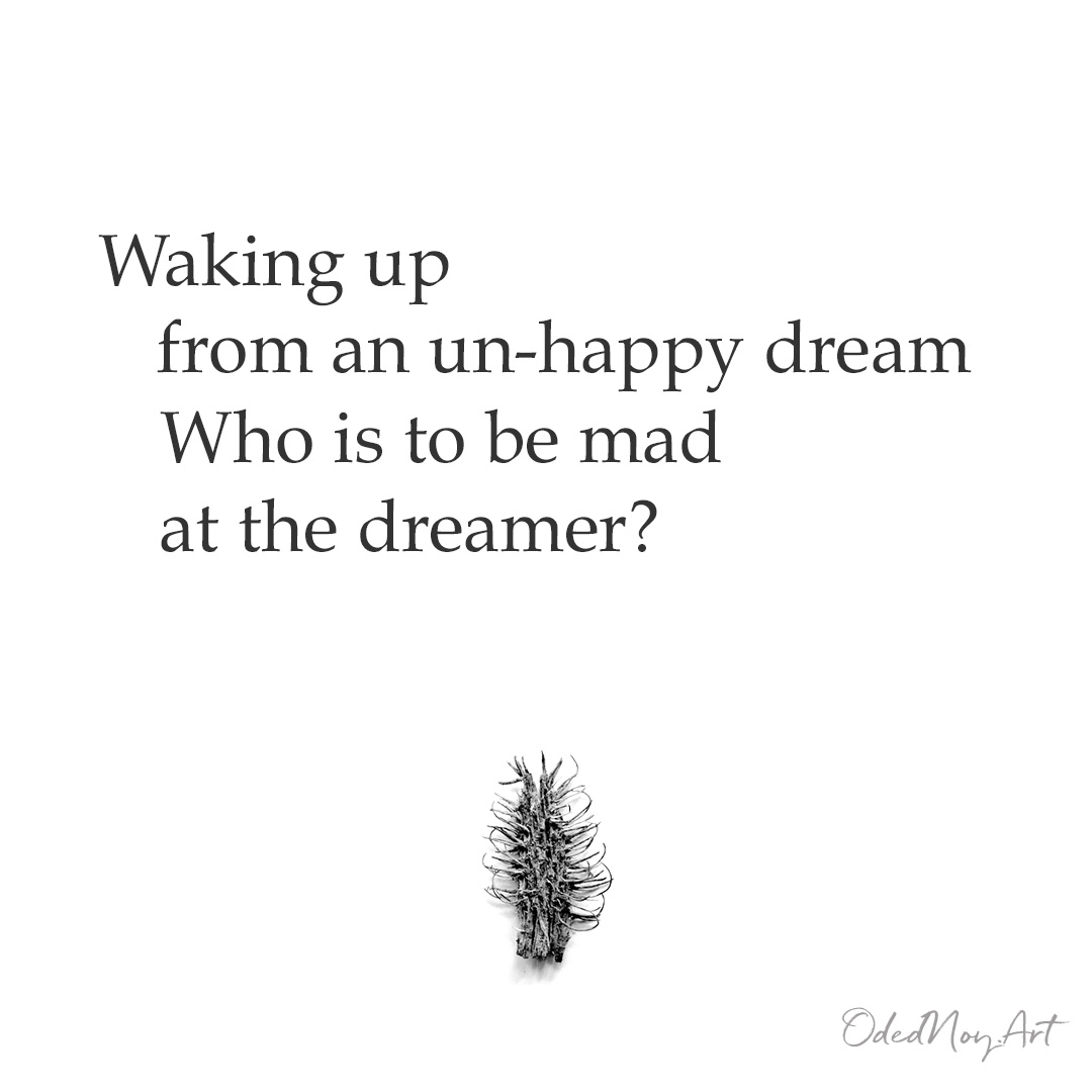 Waking up from an un-happy dream Who is to be mad at the dreamer?