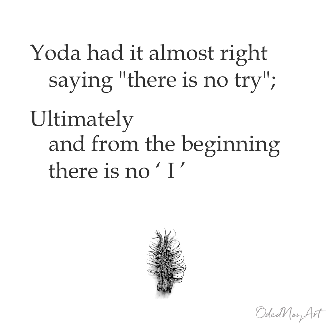 Yoda had it almost right saying "there is no try"; Ultimately and from the beginning there is no ' I ' :)