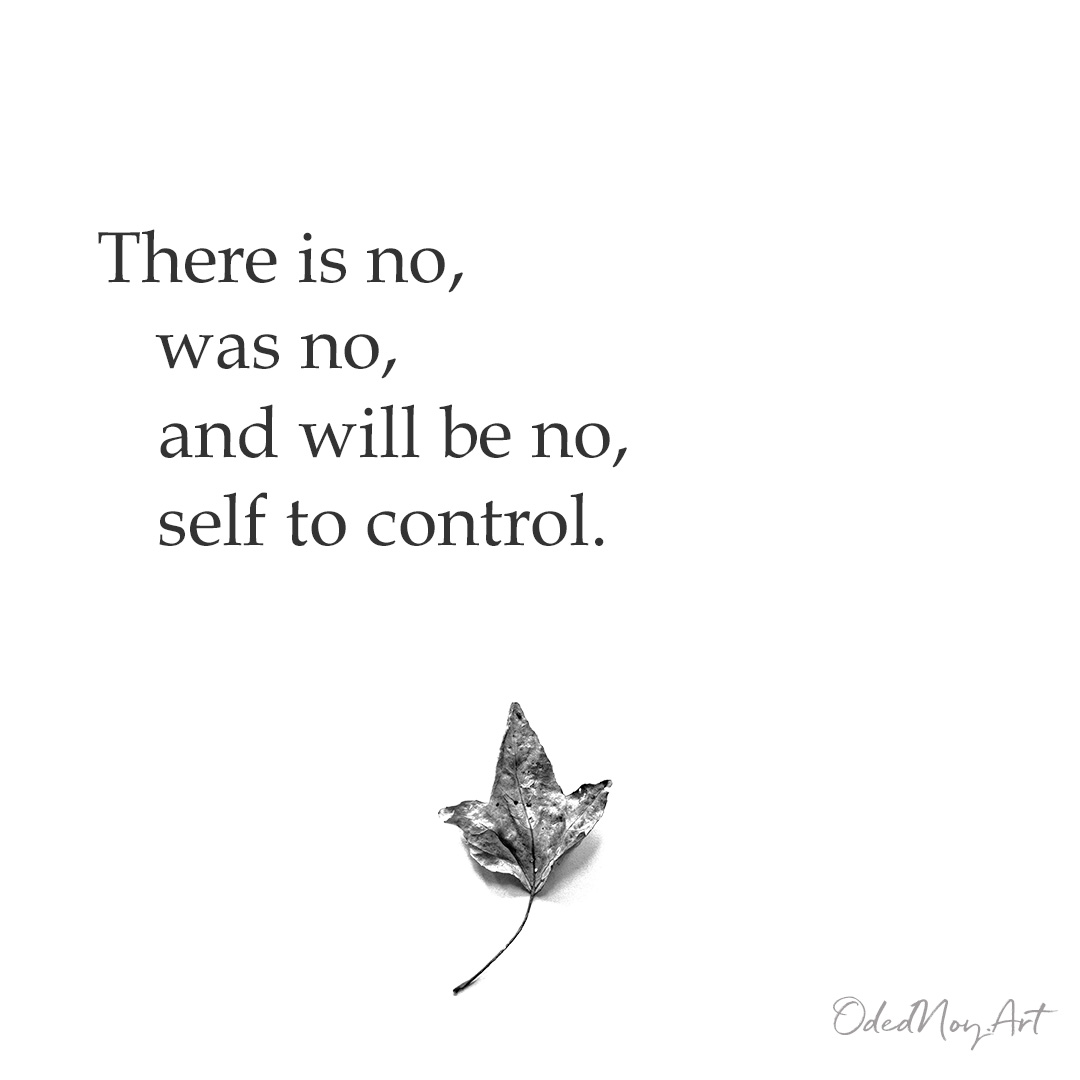 There is no, was no, and will be no, self to control.