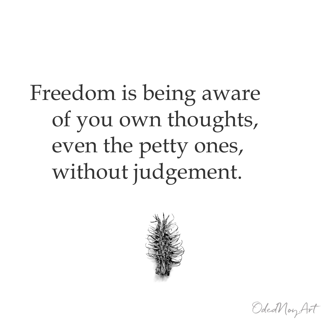 Freedom is being aware of you own thoughts, even the petty ones, without judgement. 