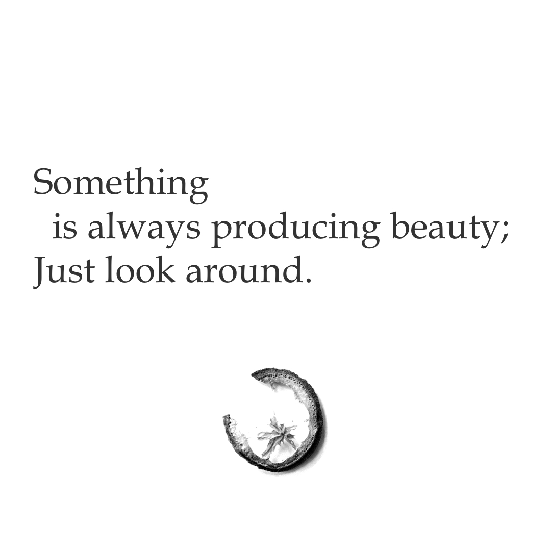 Something is always producing beauty; Just look around.