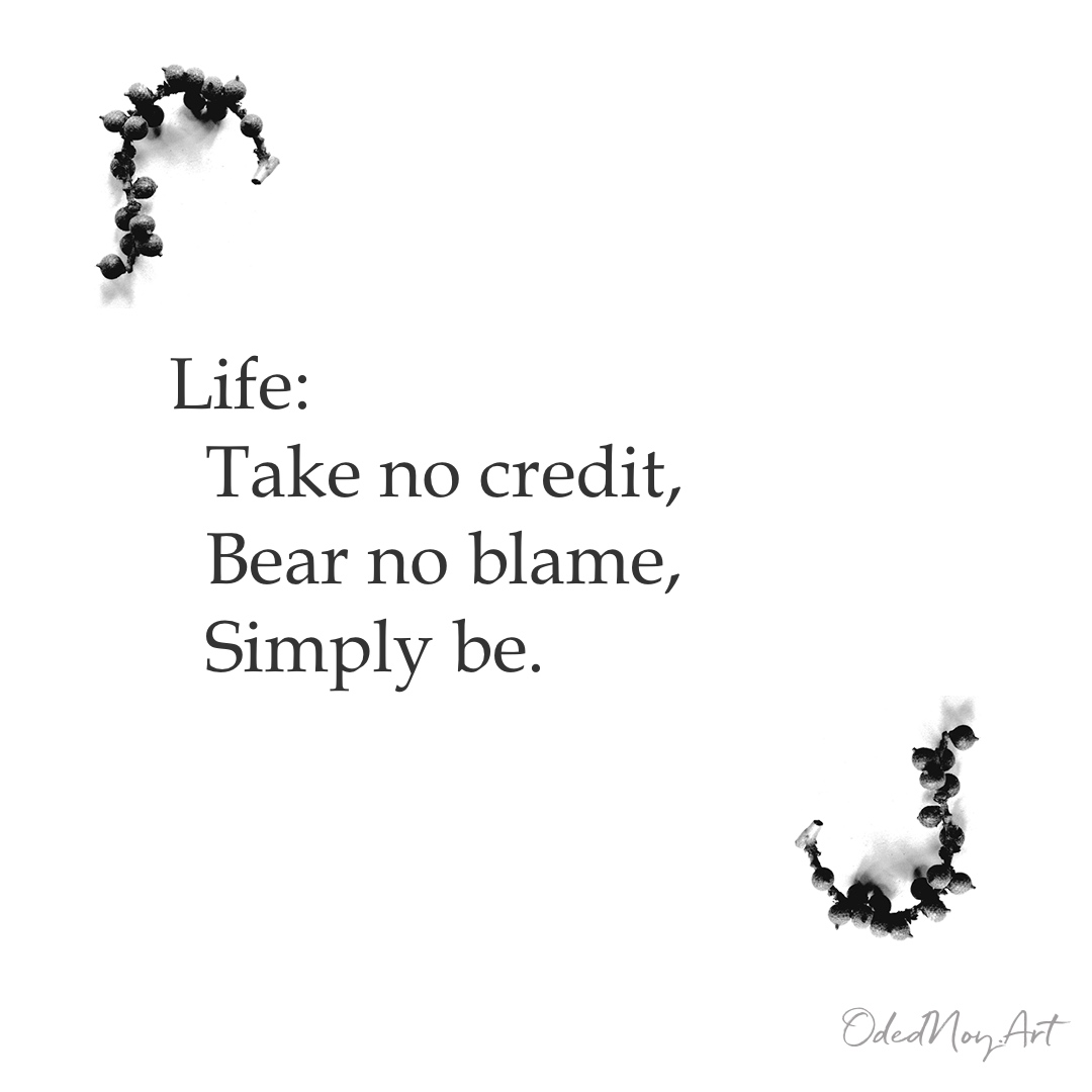 Life: Take no credit, Bear no blame, Simply be.