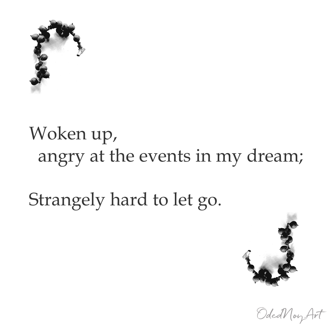 Woken up,   angry at the events in my dream; Strangely hard to let go.