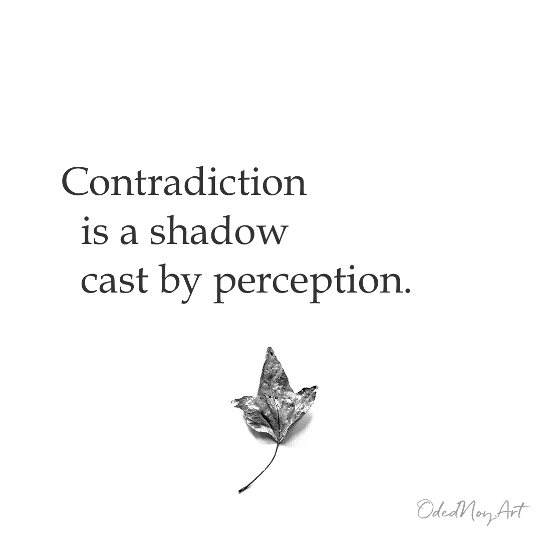 Contradiction is a shadow cast by perception.