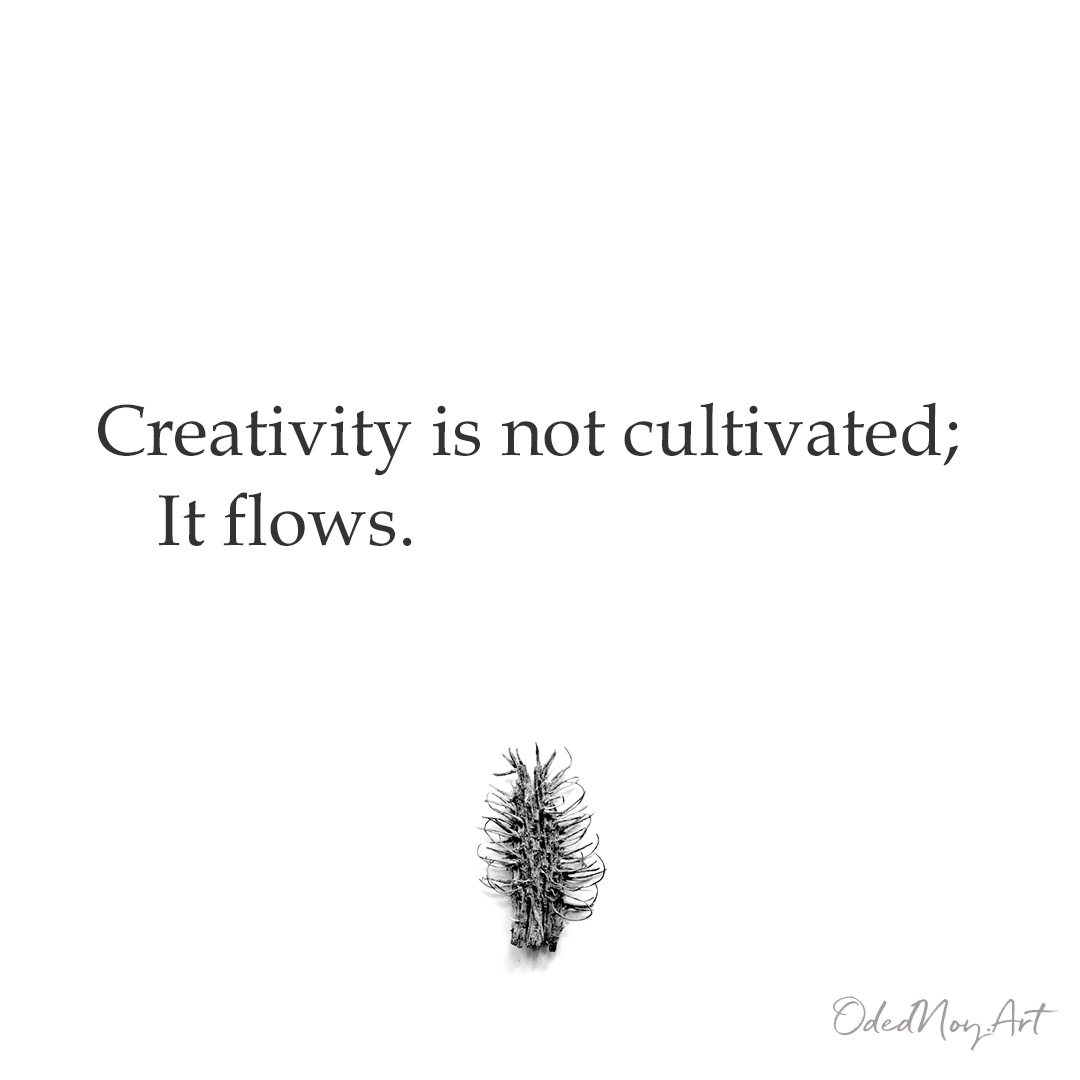 Creativity is not cultivated;