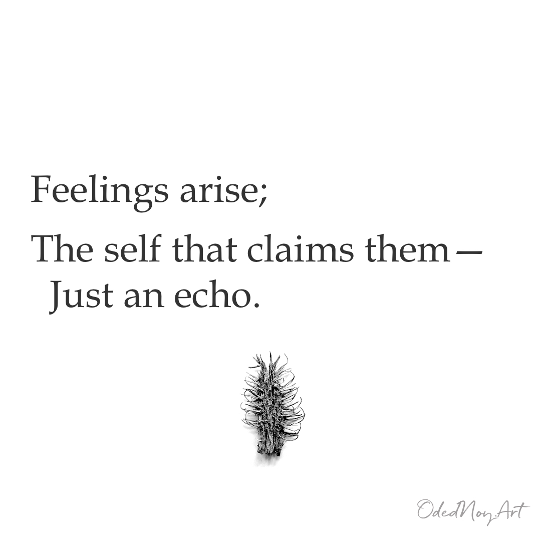 Feelings arise; The self that claims them— Just an echo.