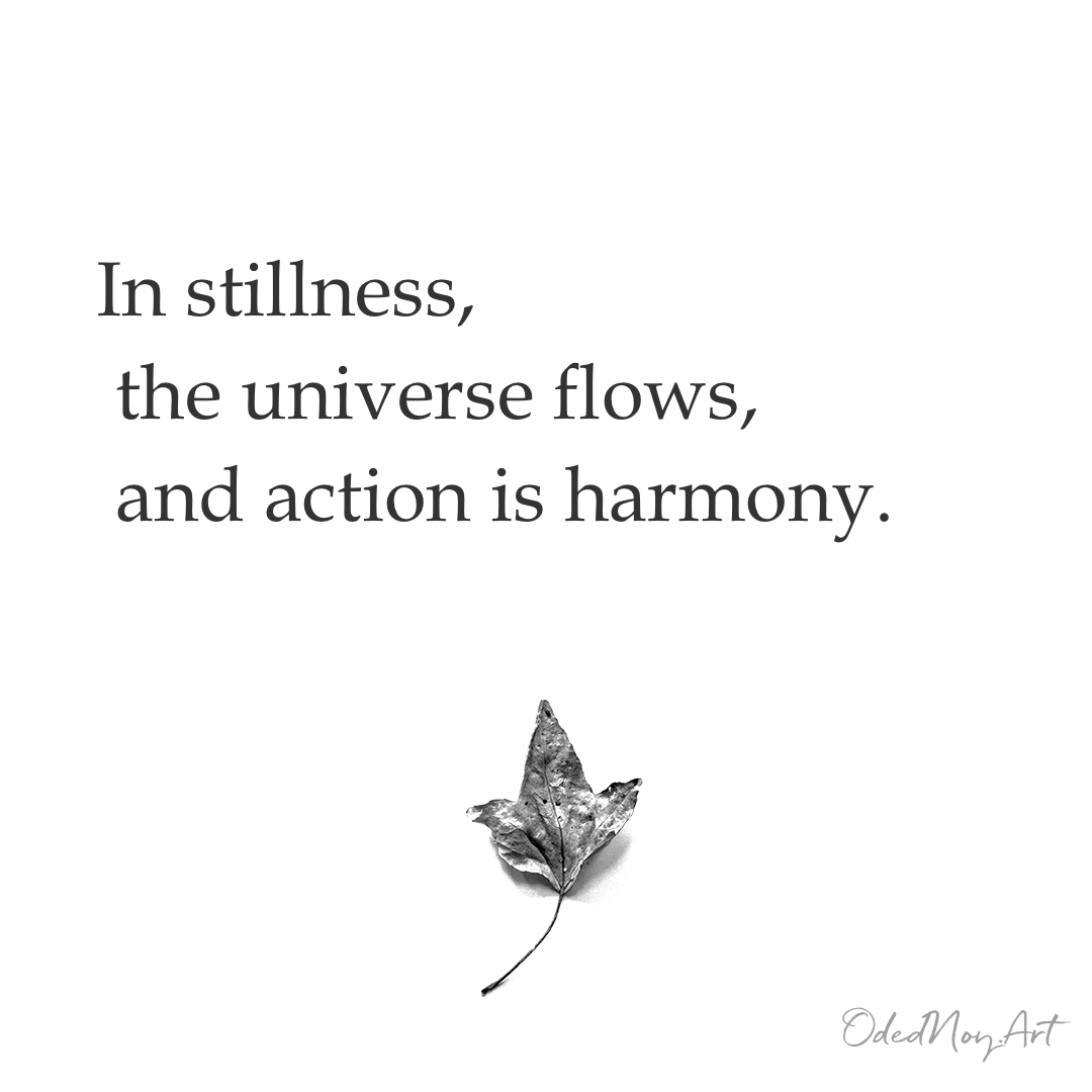 Action is harmony