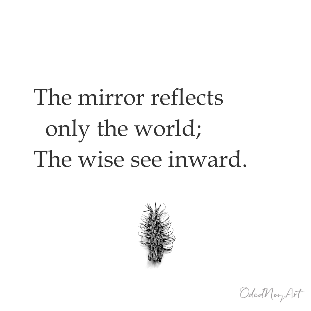 The mirror reflects only the world; The wise see inward.