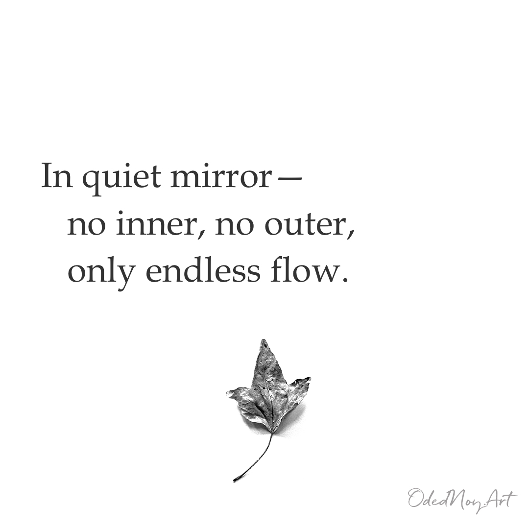 In Quiet Mirror