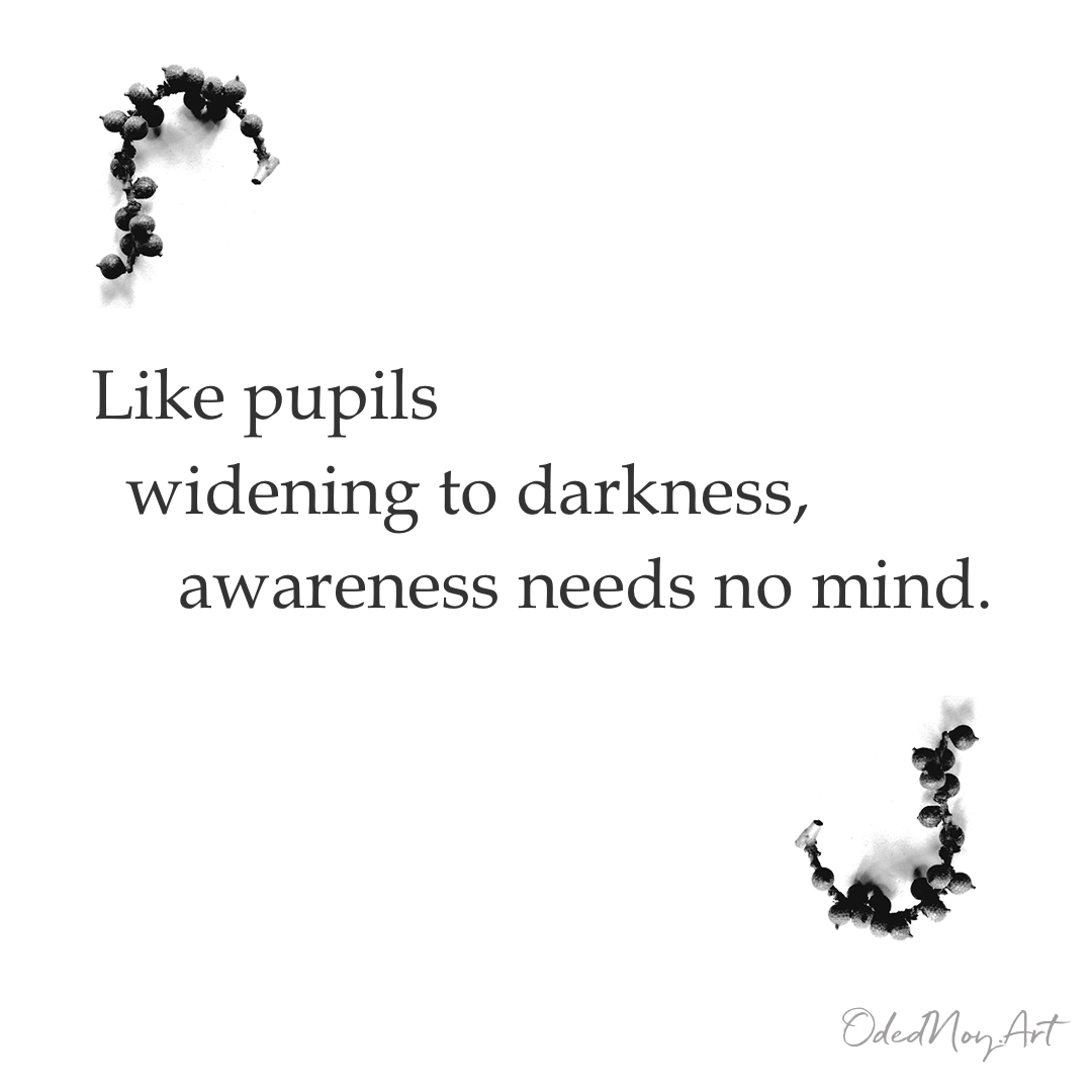 Like pupils widening to darkness