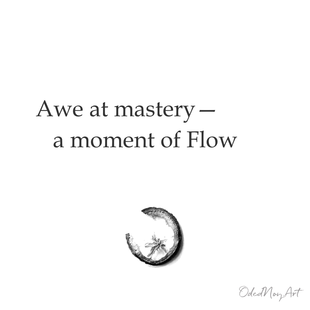 Awe at mastery—
