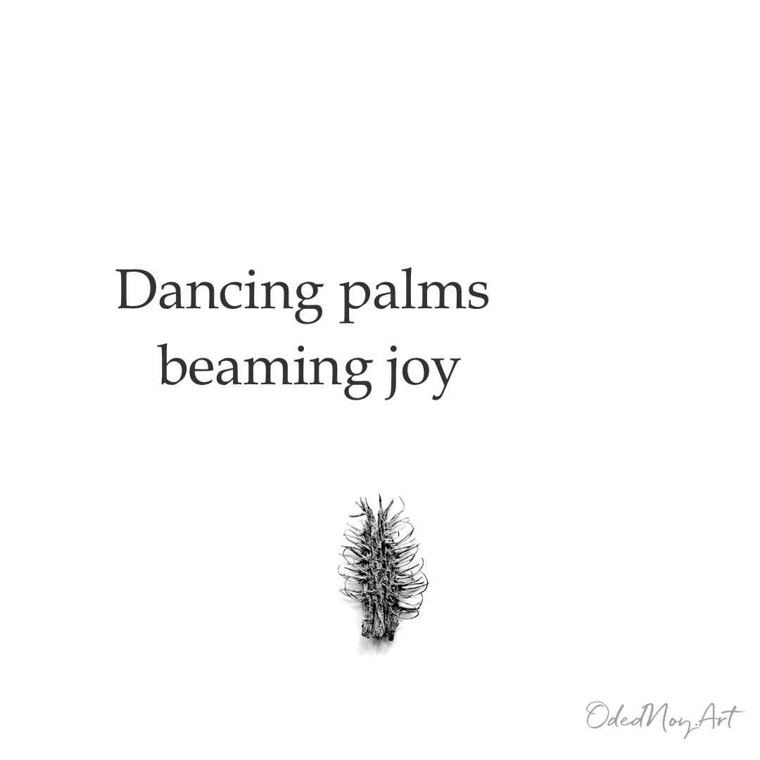 Dancing palms