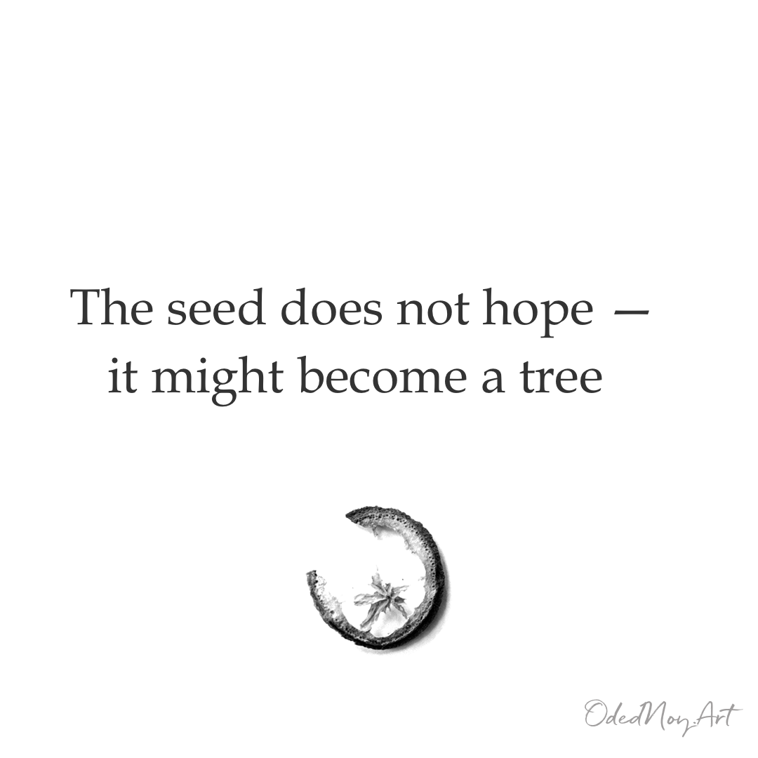 The Seed’s Hope