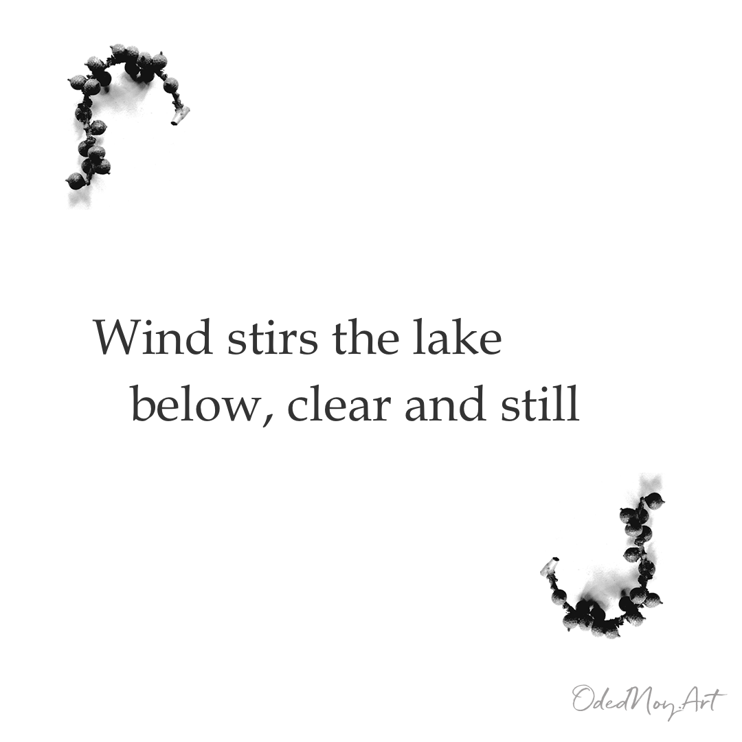 Wind Stirs the Lake