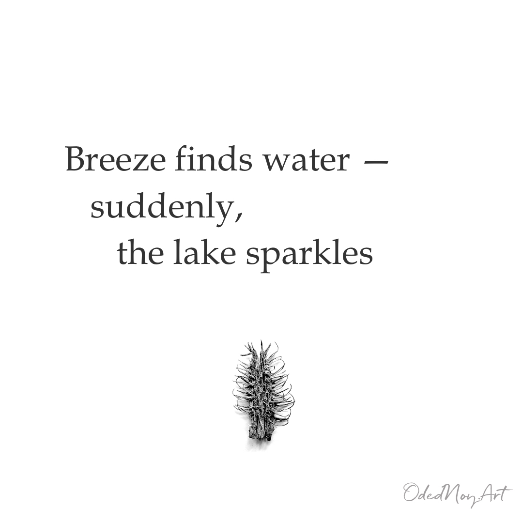 Breeze Finds Water