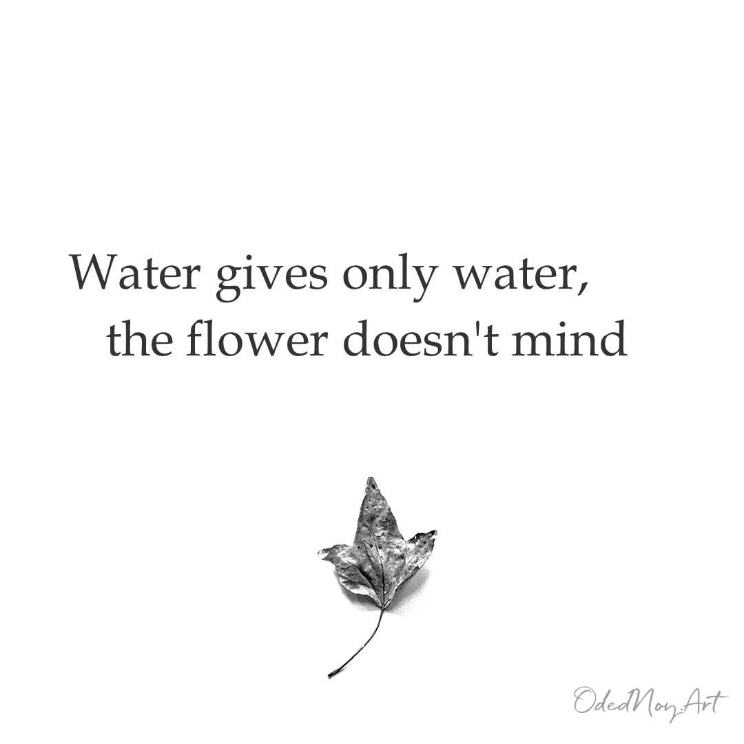 Water Gives