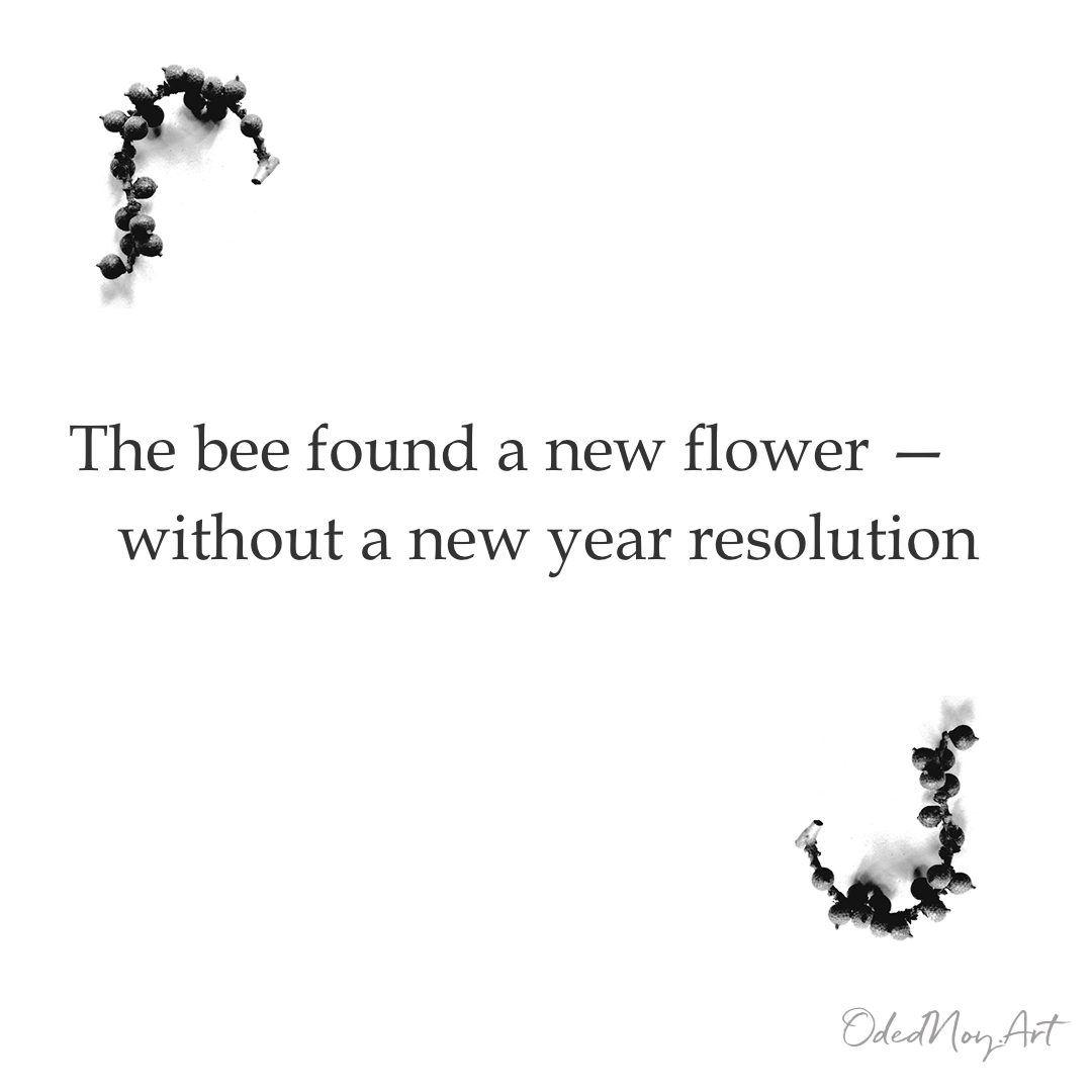 The Bee’s Resolution