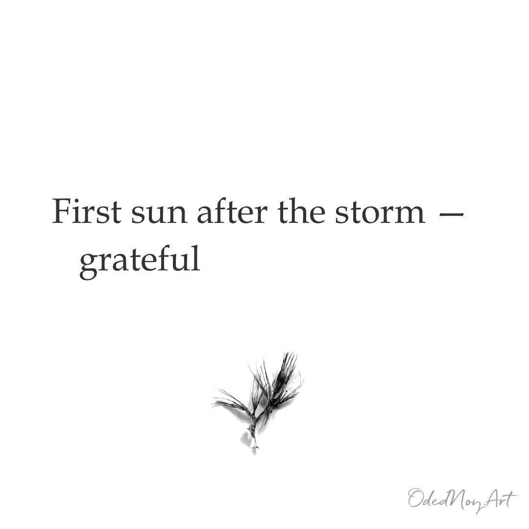 First sun after the storm