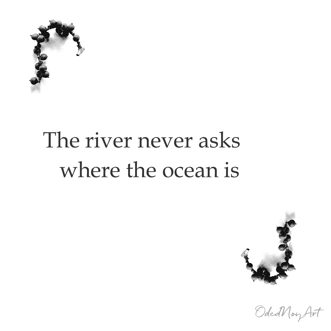 The River Never Asks