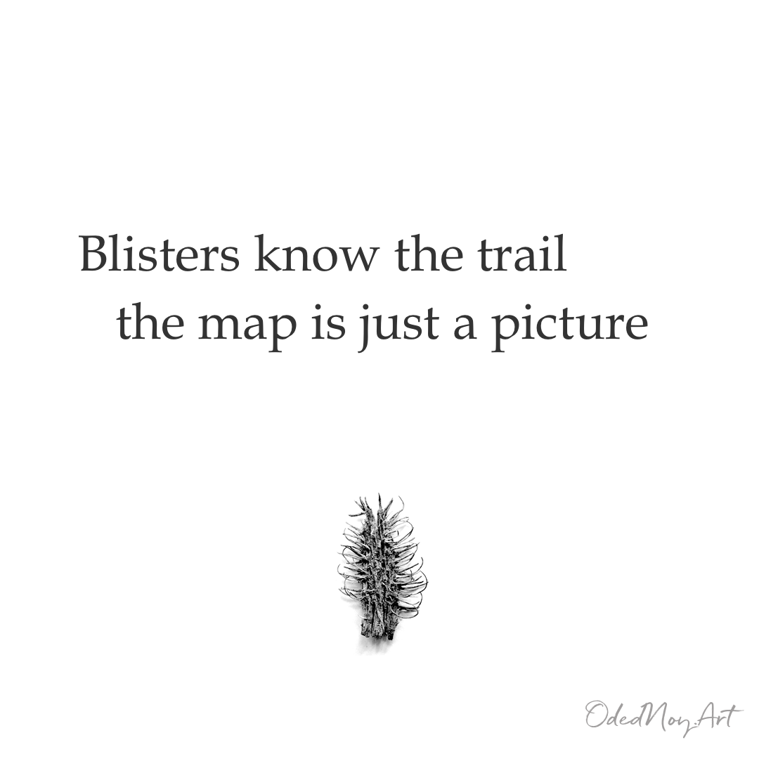 Blisters Know the Trail