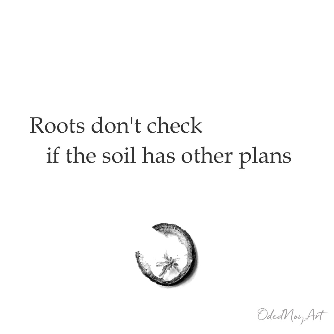 Roots Don’t Check