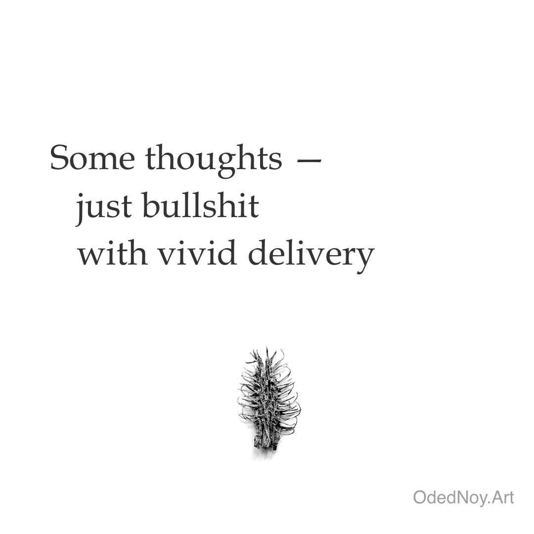Just Bullshit