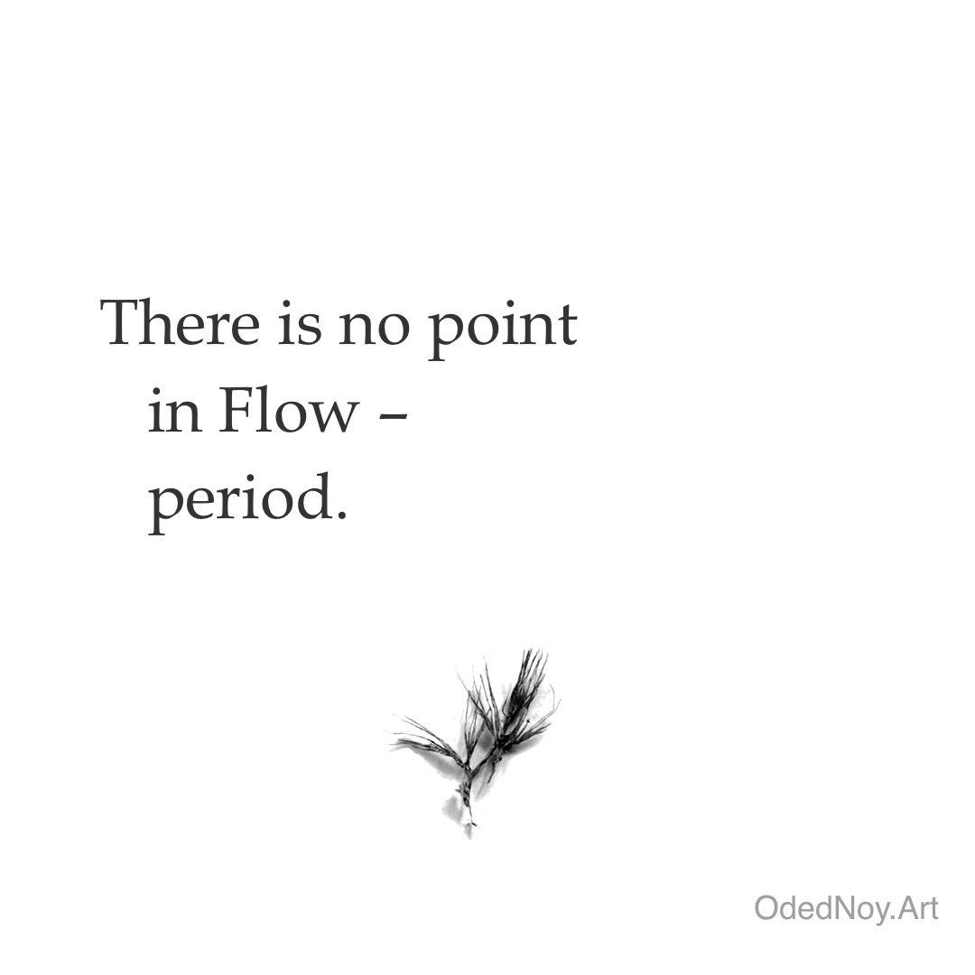 No Point in Flow