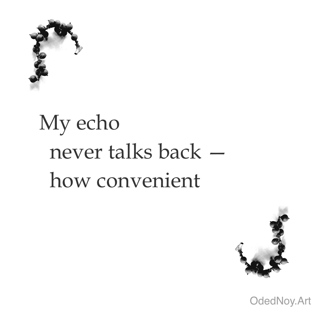My Echo