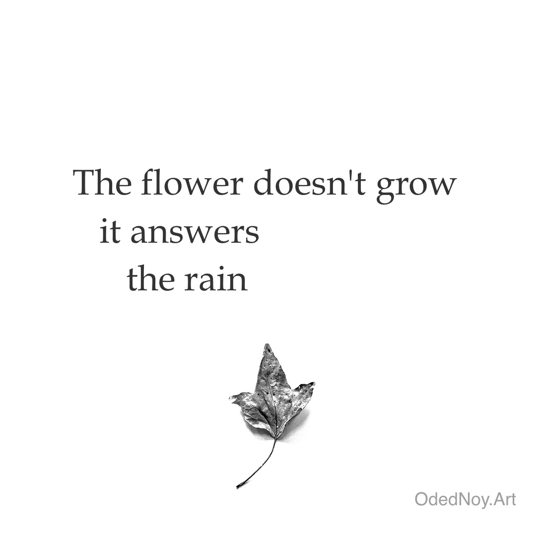 Answering the Rain